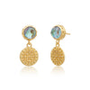 Apollo Gold Coin & Gemstone Stud Earrings: Abalone