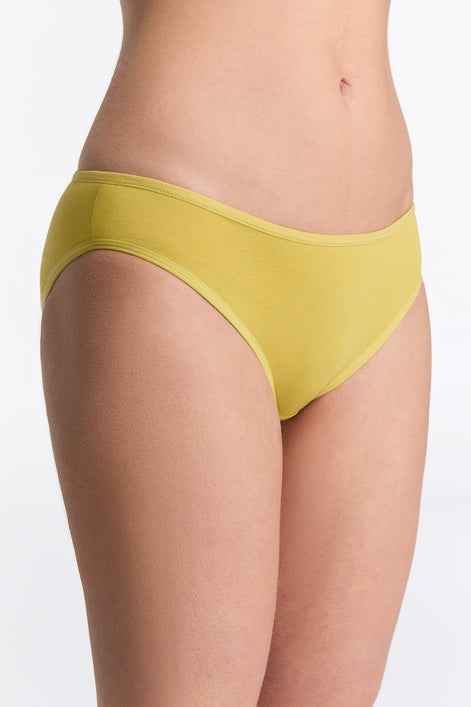 Organic Cotton Classic Briefs: Women's