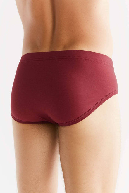 Organic Cotton Briefs: Men's