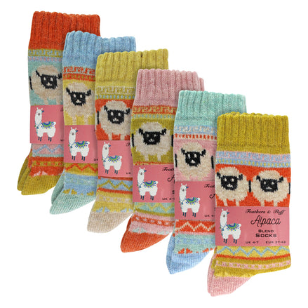 Ladies 6 Pack Alpaca Socks with Sheep Pattern