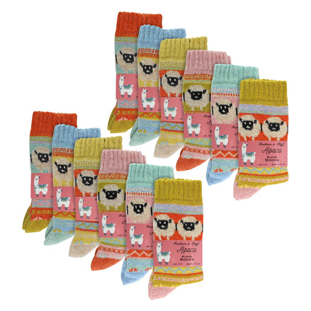 Ladies 12 Pack Alpaca Socks with Sheep Pattern