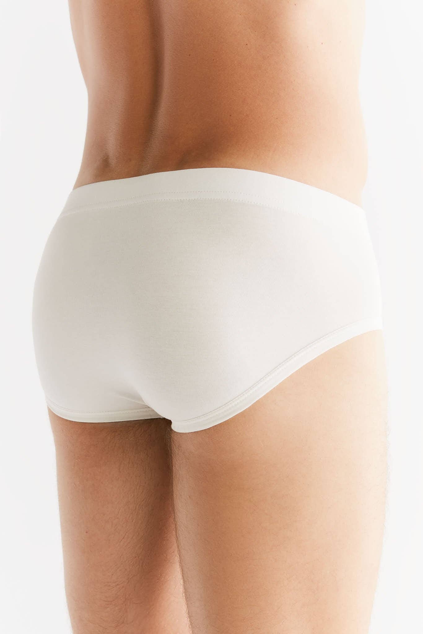 Organic Cotton Briefs: Men's