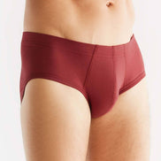 Organic Cotton Briefs: Men's