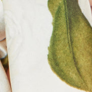 Yumi Ivory100% Silk Botanical Rose Print Scarf