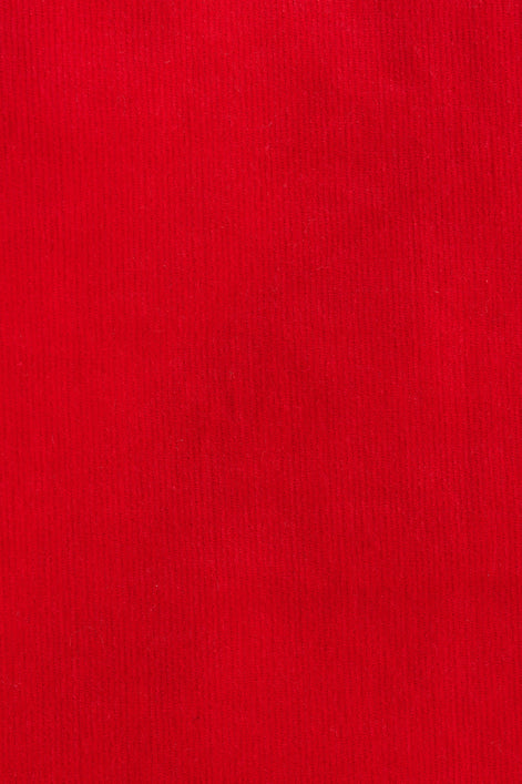 Dylan Babycord Mini Skirt - Red