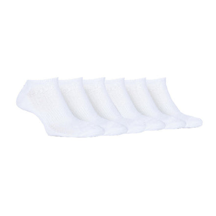 6 Pack Ladies Cotton Cushioned Low Cut Sport Ankle Socks for Running
