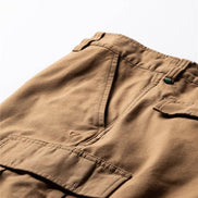 Vissla County Cargo Twill 21