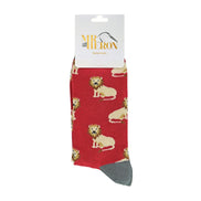 1 Pack Mens Novelty Oxblood Lions Bamboo Socks