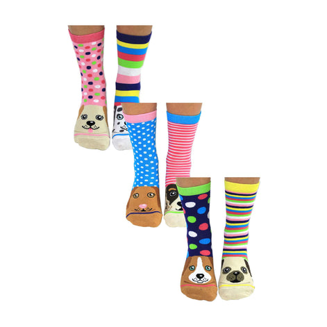 6 Pack Ladies Puppy Dog Novelty Odd Socks in Gift Box