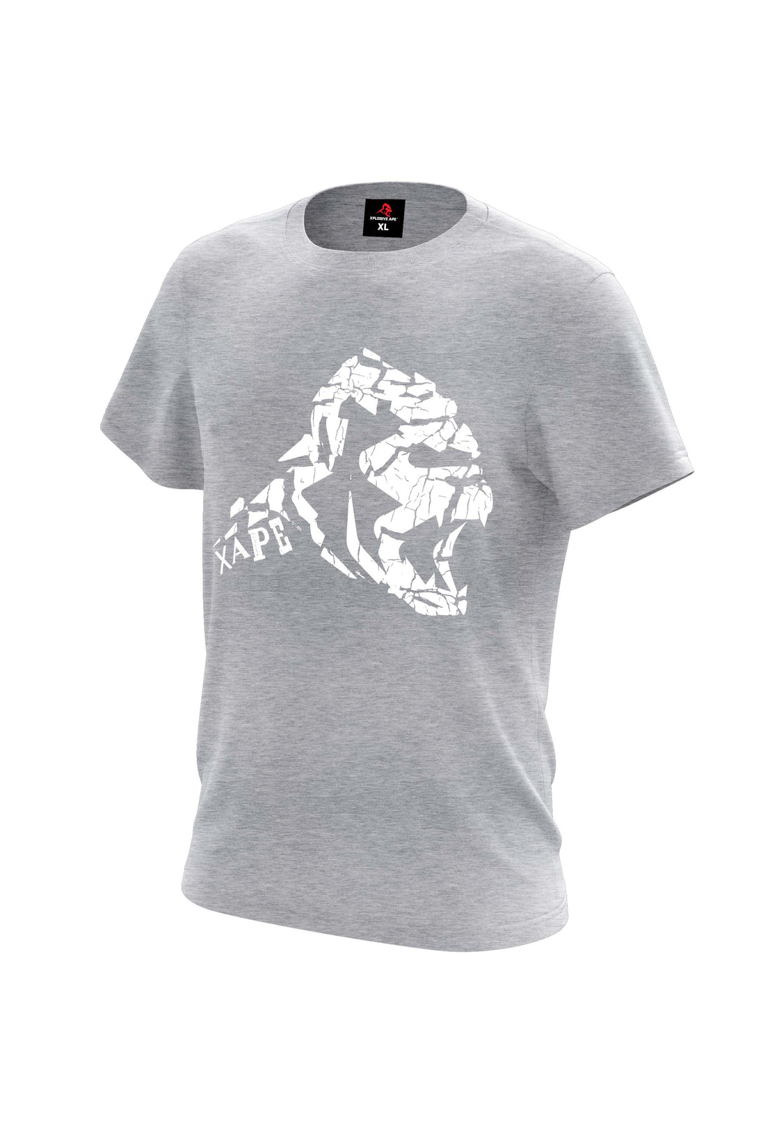 XAPE Cracked Earth Tee - Sports Grey