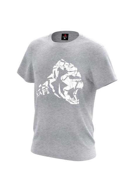 XAPE Cracked Earth Tee - Sports Grey