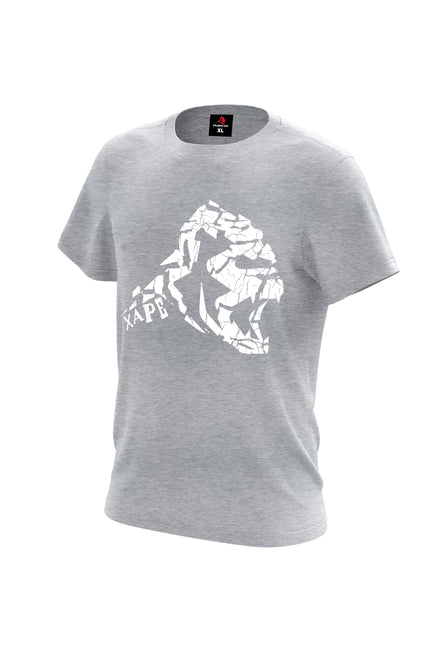 XAPE Cracked Earth Tee - Sports Grey