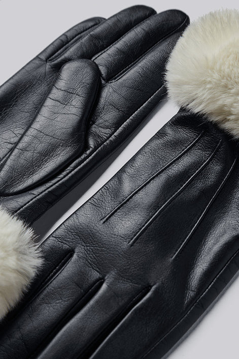 Vanian Glove