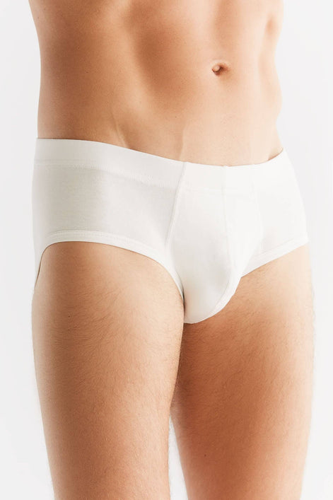 Organic Cotton Briefs: Men's