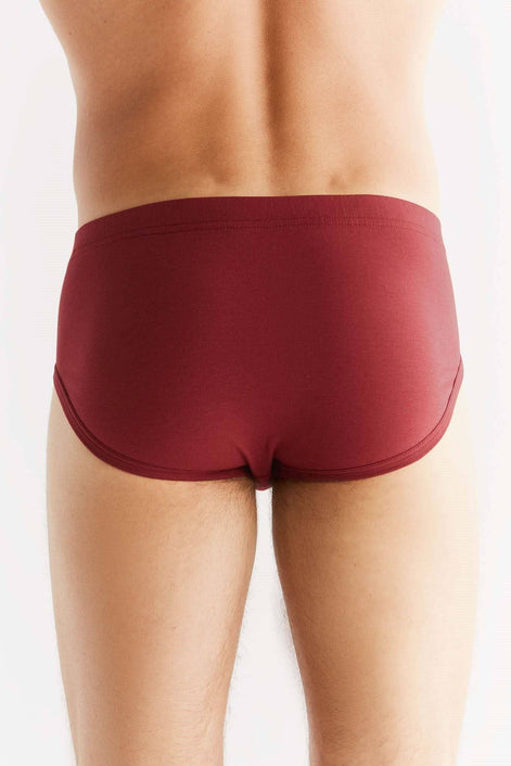 Organic Cotton Briefs: Men's