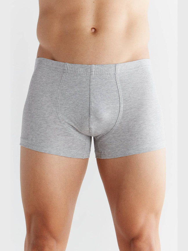Organic Cotton Retro Boxer Shorts: Men's