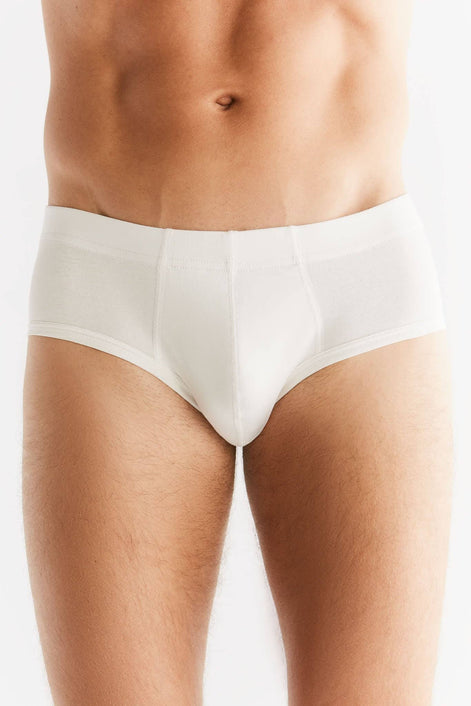 Organic Cotton Briefs: Men's